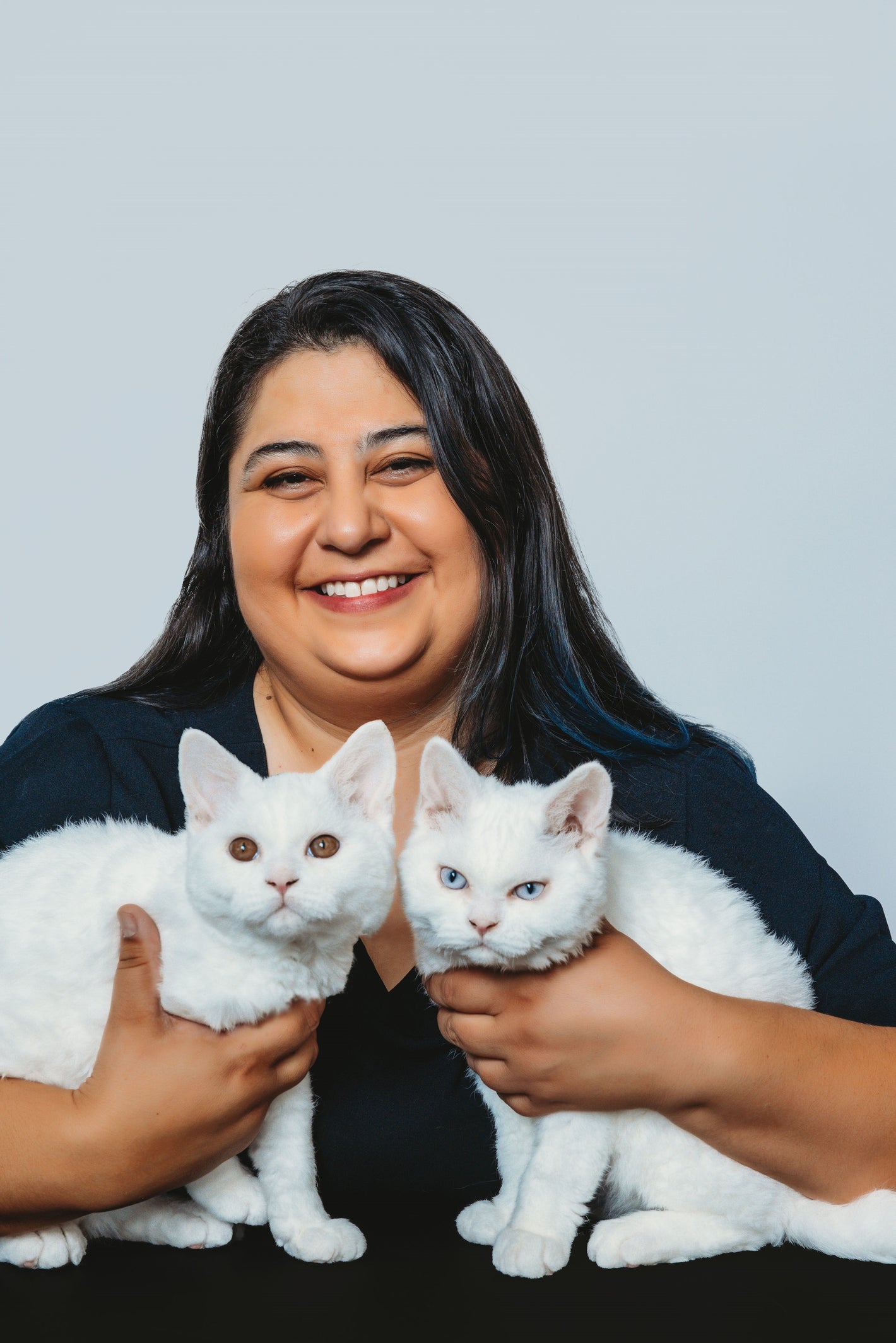 Feline Certification Courses [Limited Seats available]