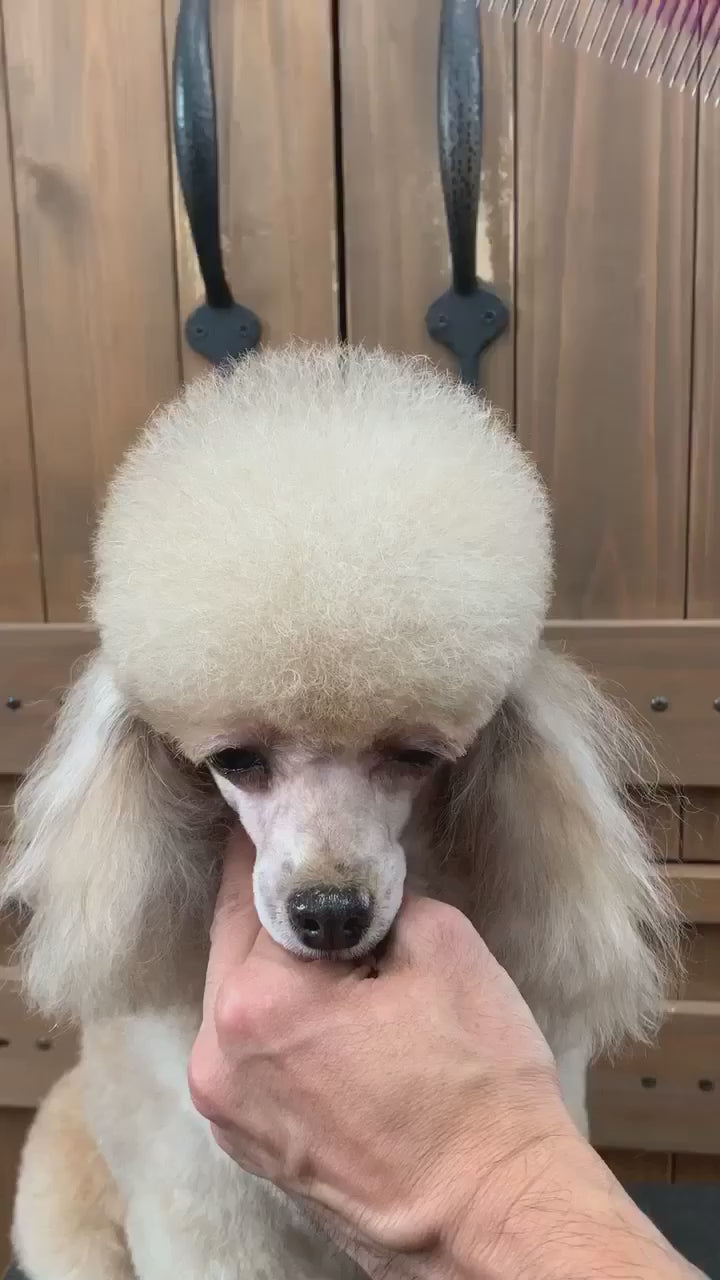 ⭐️kumi⭐️ 9